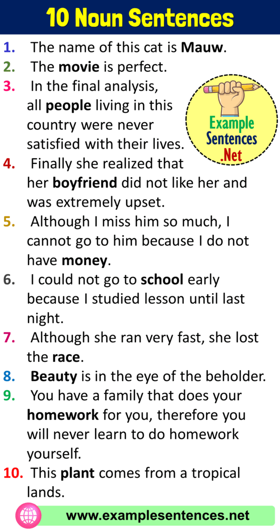 sentence with biography noun