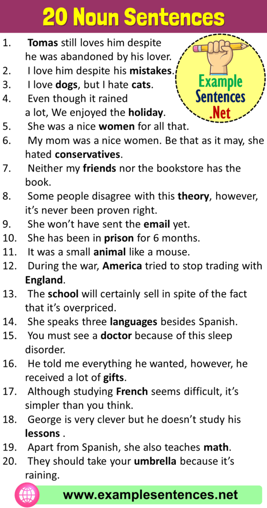 20 Examples of Noun Sentences, Noun Sentences Examples