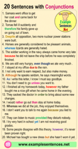 20 Sentences with Conjunctions, Example Sentences with Conjunctions ...