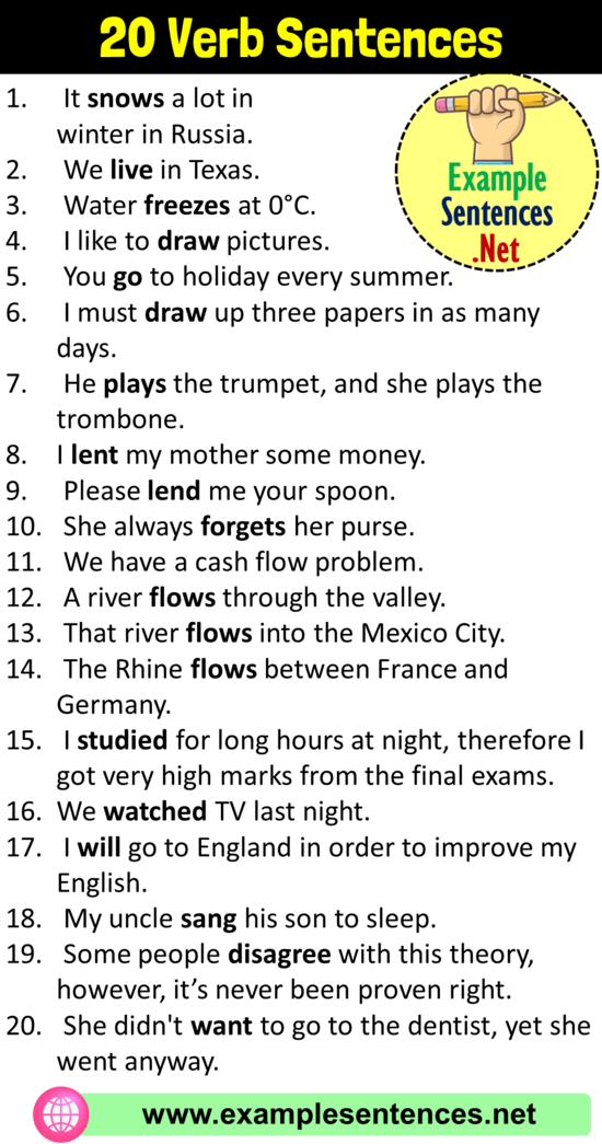 20 Verb Sentences, Verb Examples in Sentences