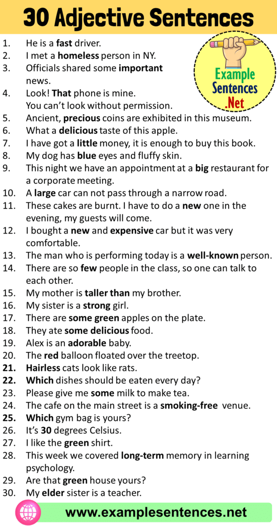 30 Adjective Examples in Sentences, 30 Sentences Using Adjectives