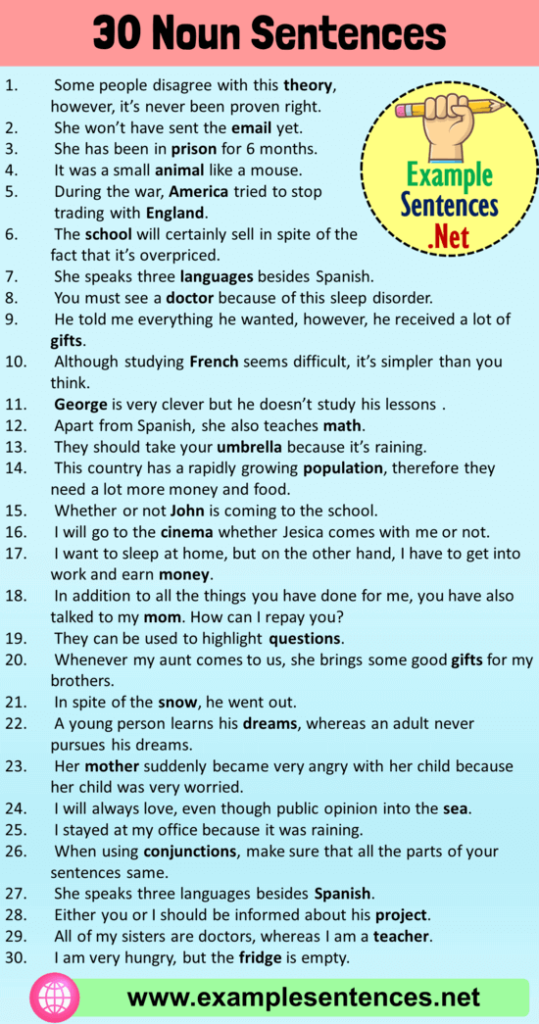 30 Examples of Noun Sentences, Noun Sentences Examples - Example Sentences