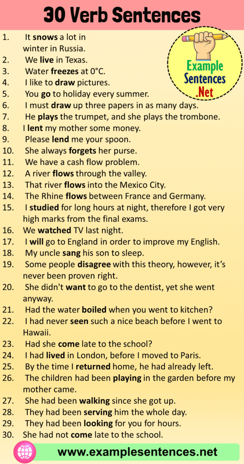 Verb 3 Examples In Sentences