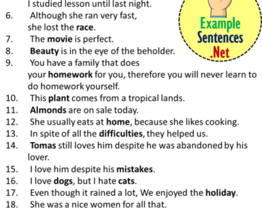 10 Examples of Noun Sentences, Noun Sentences Examples - Example Sentences