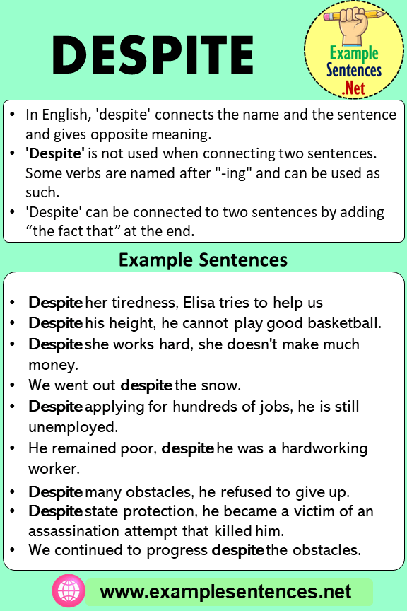 how-to-use-a-an-articles-example-sentences-example-sentences