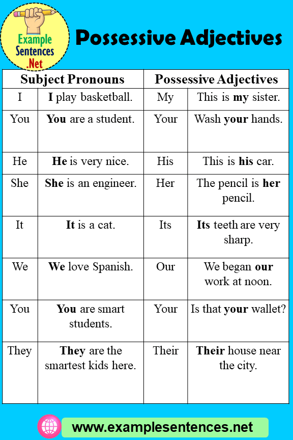 16 Possessive Adjectives Sentences And Definition Example Sentences