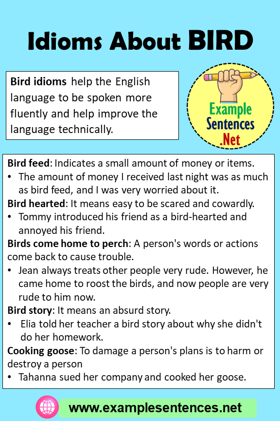 5 Idioms About BIRD and Example Sentences