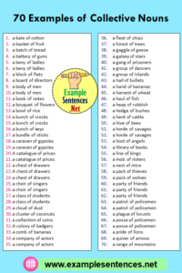 70 Examples of Collective Nouns - Example Sentences