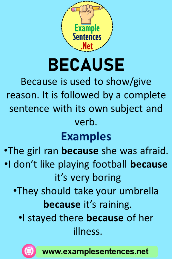 Because in a Sentence, Definition and 4 Example Sentences
