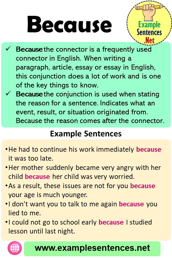 Because in a Sentence, Definition and Example Sentences