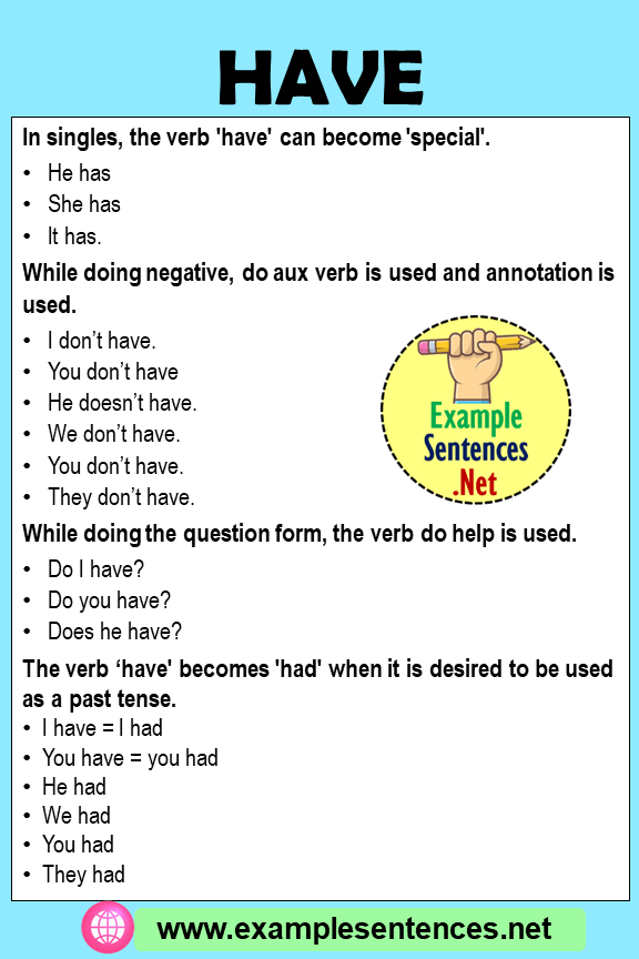 Have in a Sentence, Example Sentences with Have