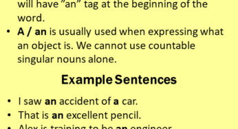 Articles Example Sentences Archives Example Sentences