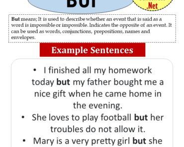 Sentences with Beauty, Definition and Example Sentences - Example Sentences