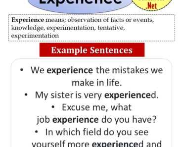 Sentences With Best, Definition And Example Sentences - Example Sentences