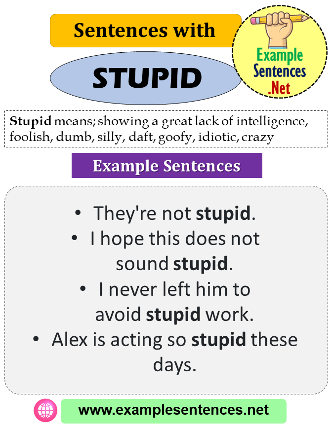 sentences-with-stupid-definition-and-example-sentences-example-sentences