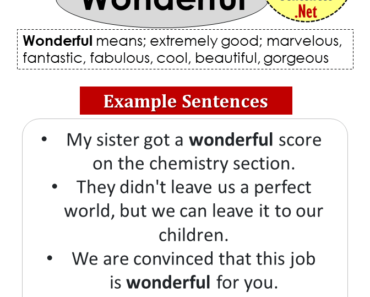 Sentences with Learn, Definition and Example Sentences - Example Sentences