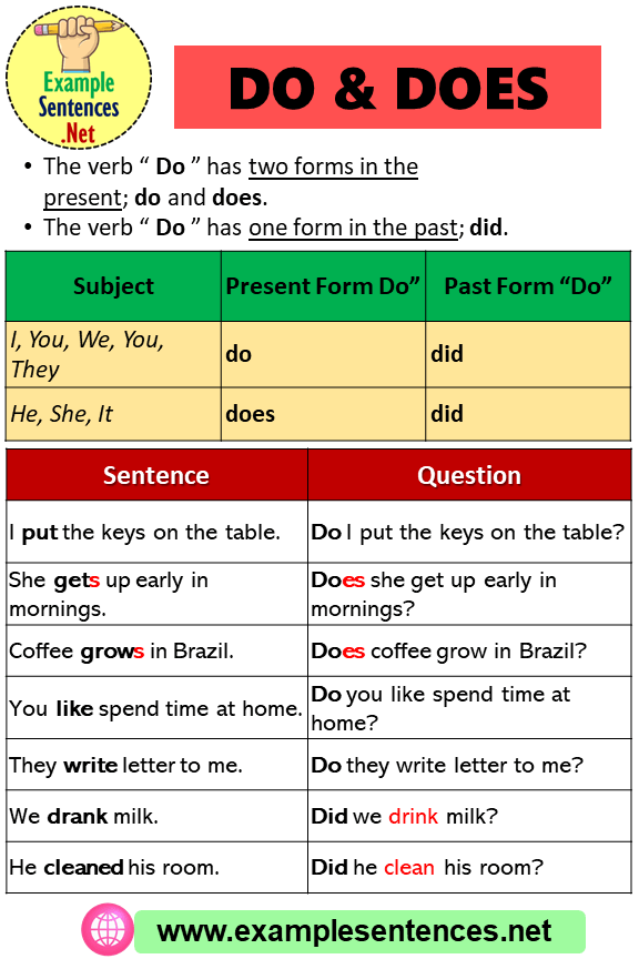 Using Do and Does and Example Sentences