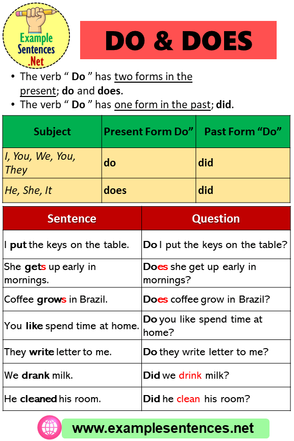 Using Do And Does Definition And Example Sentences Using Do And Does ...